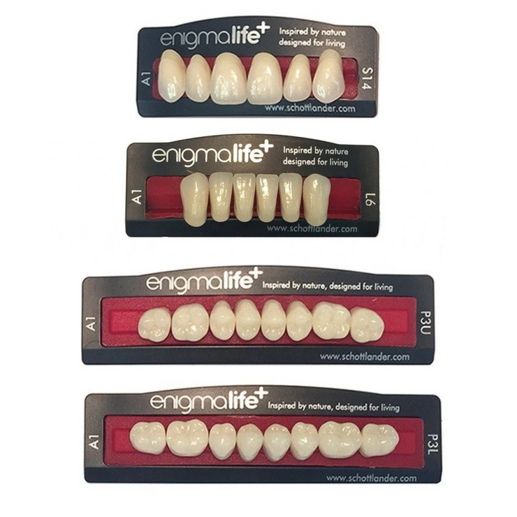 Enigmalife+ Teeth - Shade A3.5