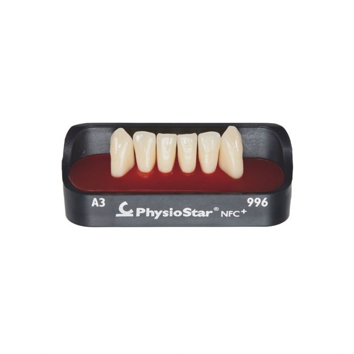 CANDULOR TEETH - Physiostar NFC+ LOWER ANTERIORS (990-998)