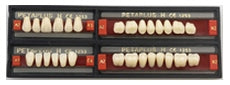 PETAPLUS UPPER ANTERIORS H1-H4