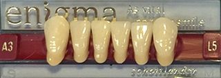 ENIGMA TEETH - LOWER ANTERIORS L8 & L9 + UPPER ANTERIORS K42 & S66