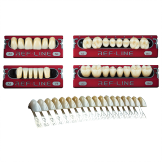 REF-LINE Teeth Lower Posteriors Size-Q-F