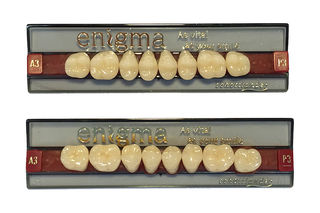 ENIGMA TEETH - UPPER POSTERIORS