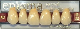 ENIGMA TEETH - UPPER ANTERIORS -K MOULDS