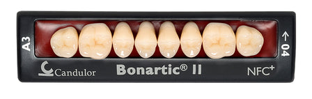 BONARTIC® II NFC+ Posteriors BL2 & BL4