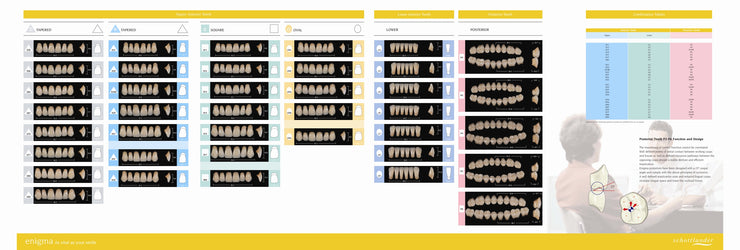 MOULD CHART