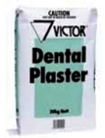 Dental Plaster