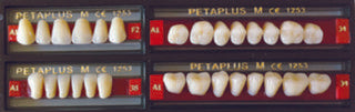 PETAPLUS Teeth LOWER POSTERIOR (29-41)